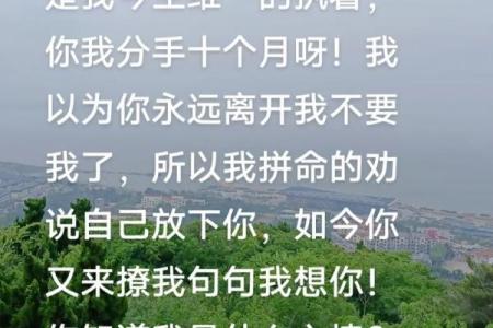 《探秘“你是我的命”之花：深情牢牢相依的象征》