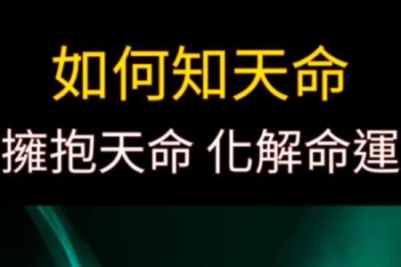 2002年出生的人命运探秘：他们的性格与命理之旅