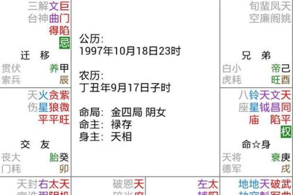 命主与身主的影响：揭示命理中的深层关系与启示