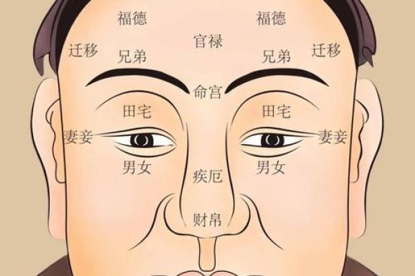 命运中的阴阳之道：探讨命理与性别的深刻联系