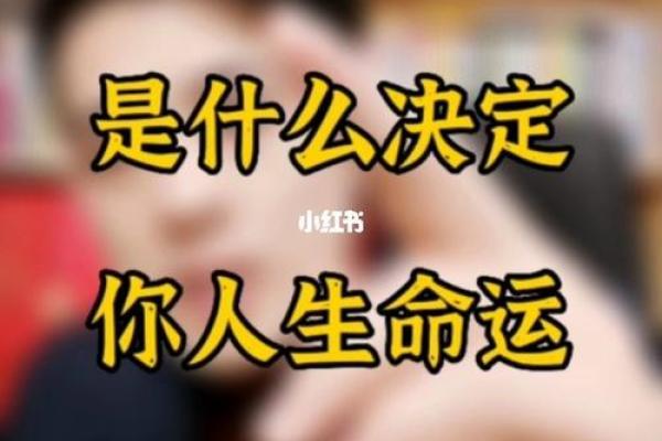 男人十个斗：揭示你命运的秘密与生活智慧