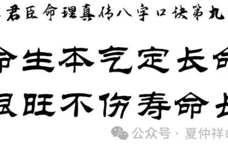 木命者恋爱的最佳选择：你不知道的命理匹配！