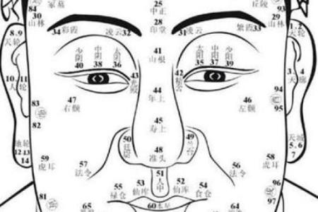 男人十个斗：揭示你命运的秘密与生活智慧