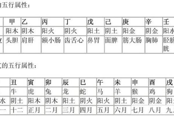 探寻命格中的天干地支：揭示人生奥秘的古老智慧