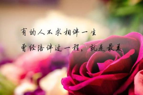 男命带桃花水多：缘分与情感的绚丽交织