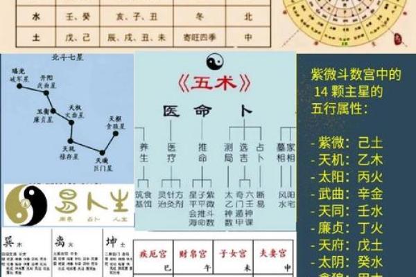 根据名字五行木属什么命，揭开命理的神秘面纱