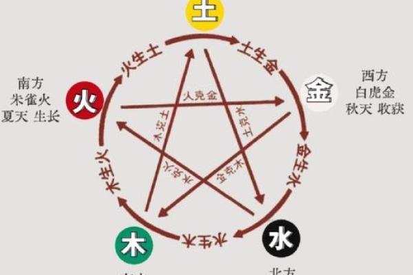 科学与五行：探索五行与命理的神秘联系