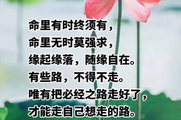 命运的交织：探寻《命就是缘，缘就是命》的深意与情感