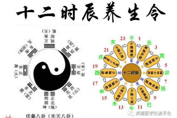 没有子时、丑时、寅时的人命运解析：命中注定的秘密与幸福之路