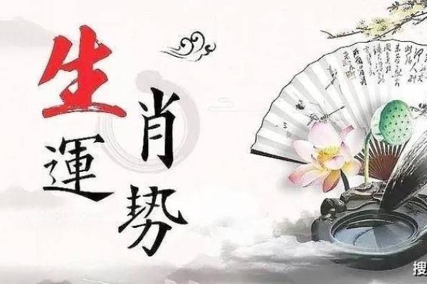 明年虎年，解读2024年虎命的命理特征与运势展望