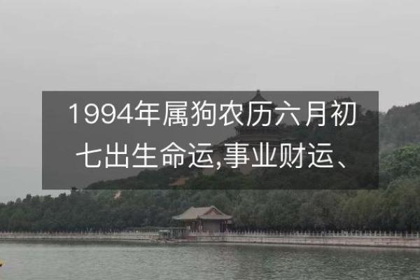 1994年出生的狗：命运与性格的深刻解读