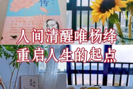 没奔波命：生活中的从容与智慧之道