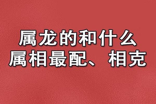 龙年出生的人：五行命理解析与生活建议