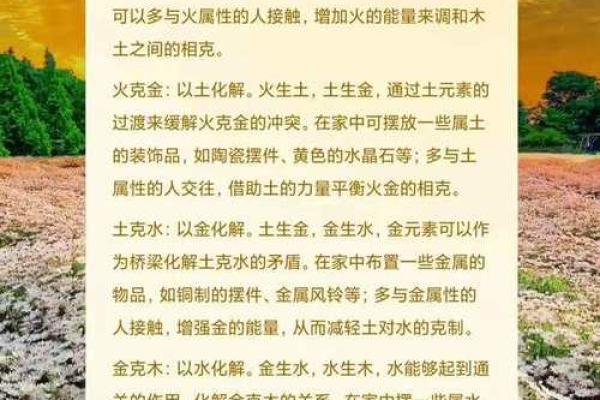 炉中火命：探索五行中的热力与激情之源