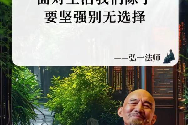 老年多病者：命运与人生的智慧之旅