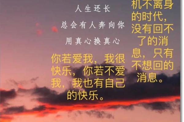 梅香之命：在命运的香气中绽放人生的芬芳