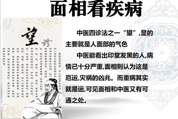 男命食神见官：命理中的成功之道与智慧人生