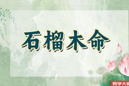 揭开女石榴木命的神秘面纱：命理与性格的完美结合