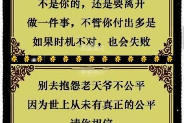 “命就是命”：探讨人生的意义与命运的交织