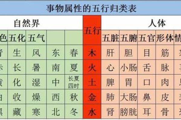 老鼠的五行属性解析：了解鼠命的神秘力量与性格特征