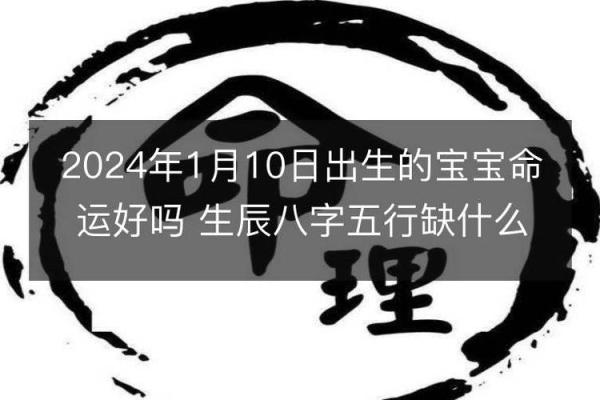 2024年出生宝宝的命运揭秘：生肖与命理的完美结合