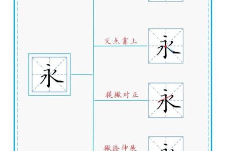 救命的命：解密汉字的结构与偏旁的奇妙之旅