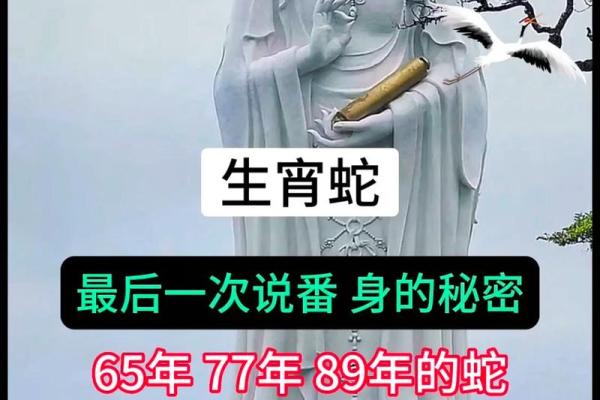 六五年属蛇的命运与性格解读：知晓你的命，活得更加从容自信！