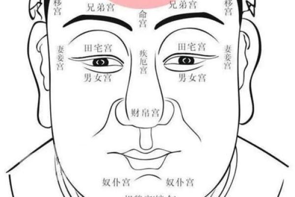 面相揭秘：小眼睛的命格与人生运势分析