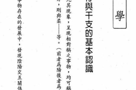 揭秘龙八字：探索命格与命运的奥秘