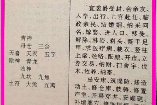 六月初十男孩命理解析：性格、事业与情感的深度解读