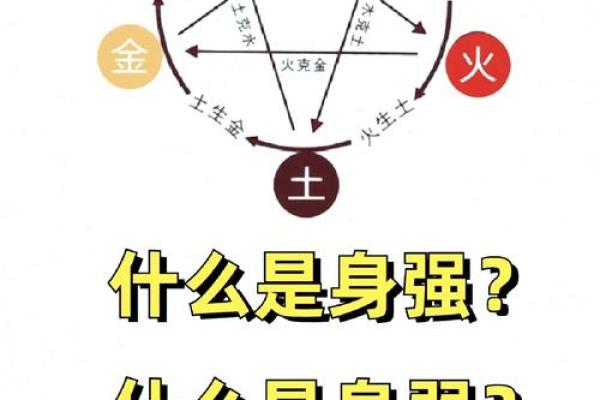 揭秘木命之人的独特魅力与性格特征