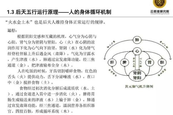 律师职业与五行命理：事业与命运的完美结合