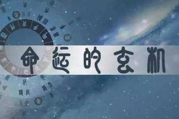 玫瑰命与天鹅命：两种命运的美丽与启示