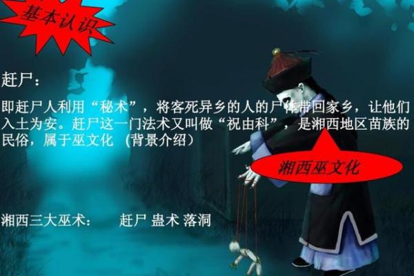 揭开命挂的神秘面纱：延年的深刻含义与实际应用