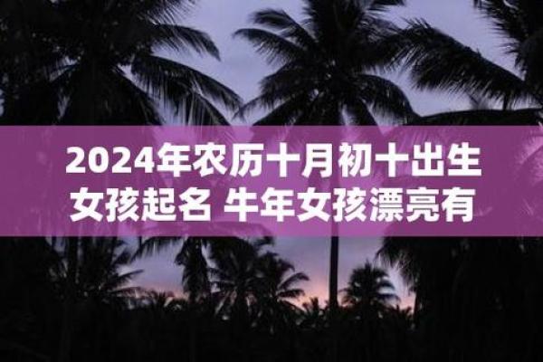 探寻农历十月初十命理之奥秘，揭开神秘人生的面纱