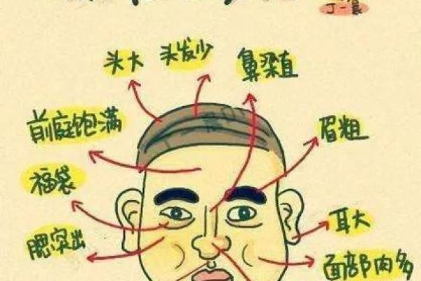 劳命奔波与命妻凉：生肖背后的故事与启示