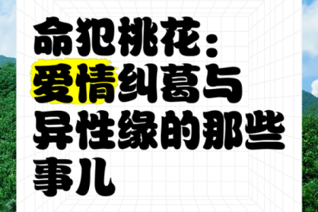 揭开挑花命的神秘面纱：男命地支的命理智慧