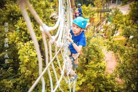 忙命天涯：在人生旅途中不断追寻的冒险与意义