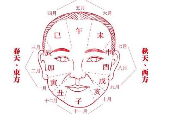 面相解读：额头龙骨与命运的深度联系