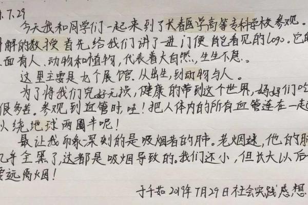 命理中的龙须：了解其象征与生命影响的奥秘