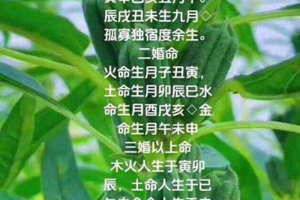 男木命与女水命：生育孩子的命理解析与运势影响