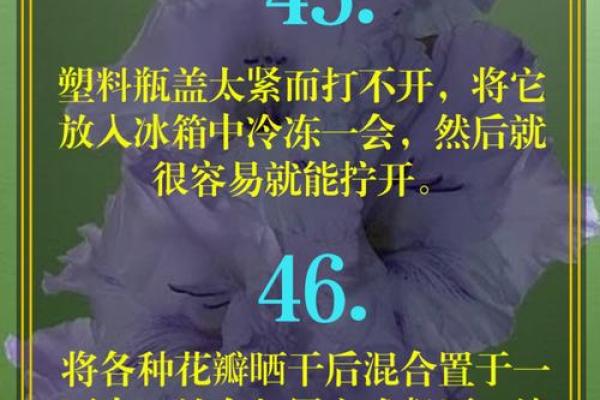 探寻农历一二十一命运：揭示天赋与生活的秘密