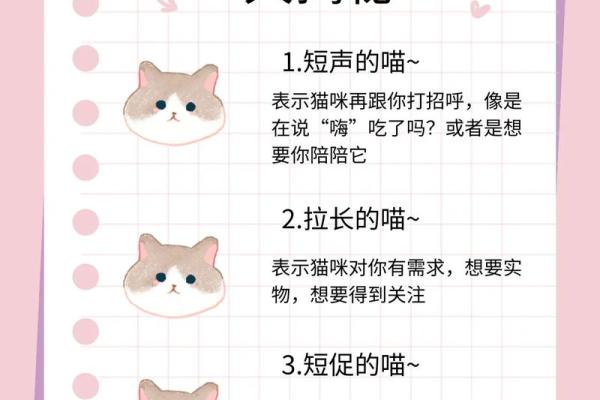 揭秘猫咪为何被传说拥有九条命的迷人故事