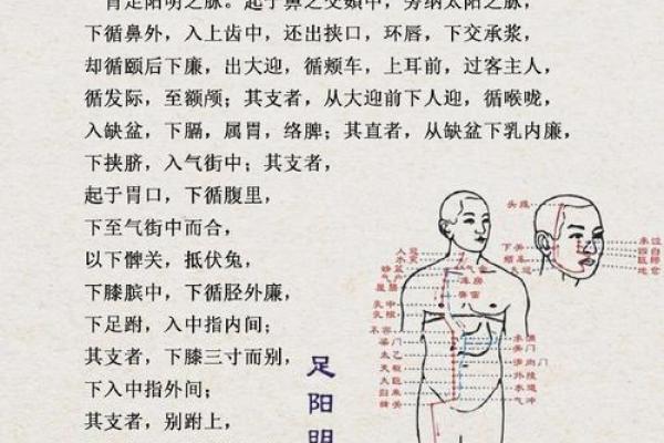 男命己酉日生：命运与性格的完美融合