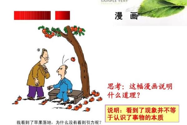 探寻罗汉命的奥秘：命理学与人生的深刻启示