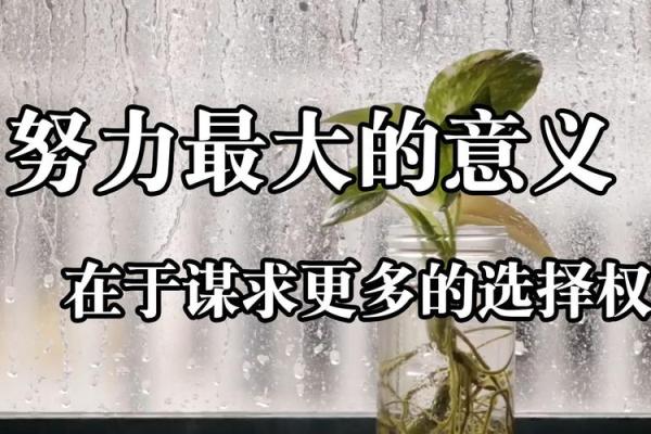 根据老天给的命，探寻人生的意义与方向