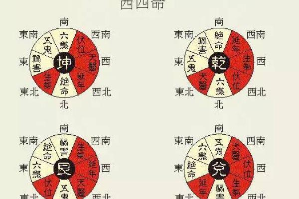 命带6合寅亥：解析命理背后的深刻智慧与生活启示