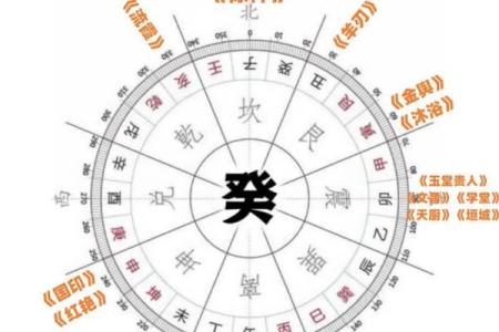 明年兔年属蛇的人运势解析：从命理看未来运程的转变