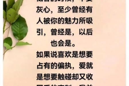 救小狗一命，传递爱与希望的光芒