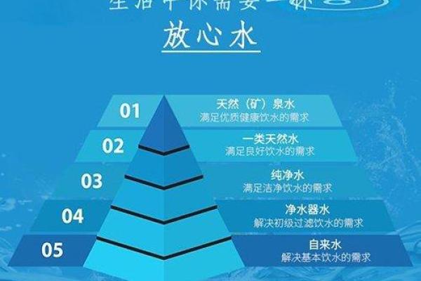 解锁命盘的奥秘：深入了解后你还需要问些什么？